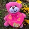 Kalp Kutulu 22 CM Peluş Ayıcık