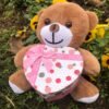 Kalp Kutulu 22 CM Peluş Ayıcık