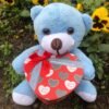 Kalp Kutulu 22 CM Peluş Ayıcık